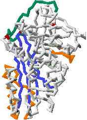 Image: Model created by Prism